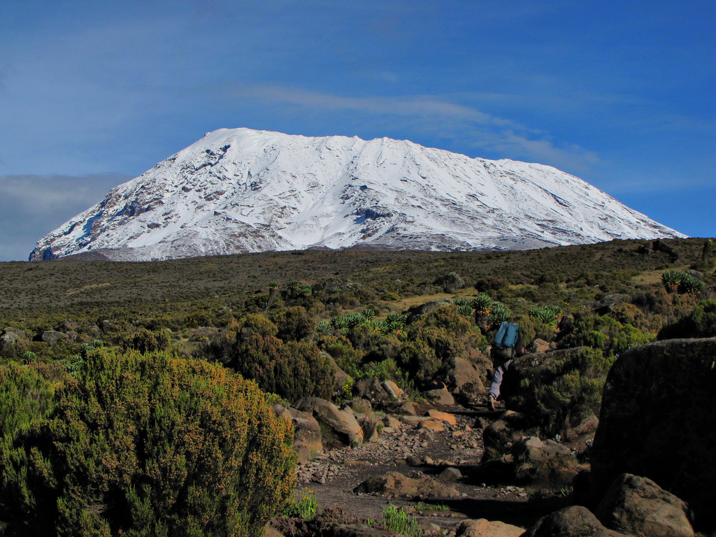 7 days Machame Route Kilimanjaro Climbing